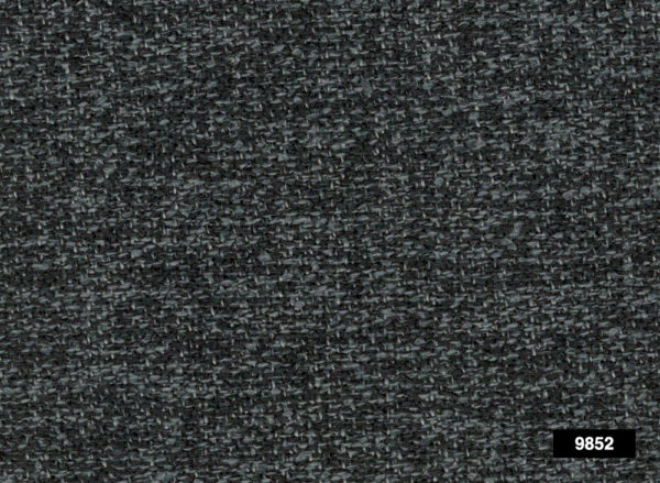 Arya 9852