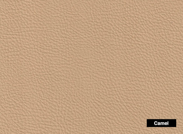 Legend Camel