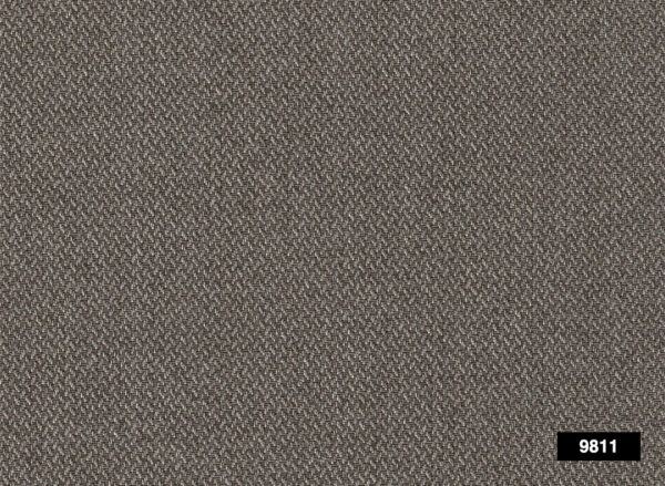 Piavo 9811
