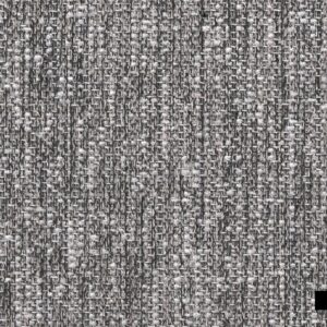 Asneira-19