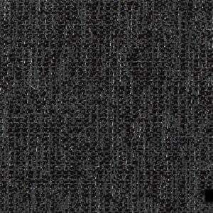 Asneira-99