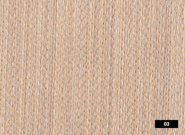 S003 03