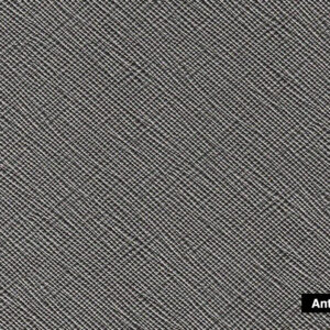 Corzo Anthracite