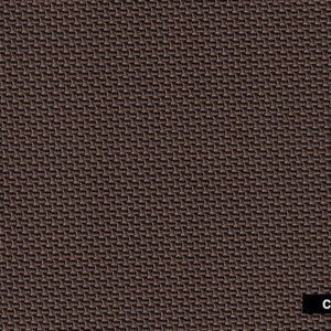 Carbono Carro