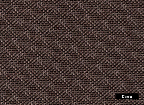 Carbono Carro