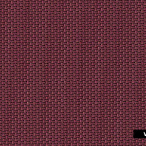 Carbono Vino