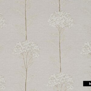Amandier-4521-Ivory