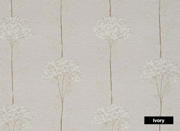 Amandier-4521-Ivory