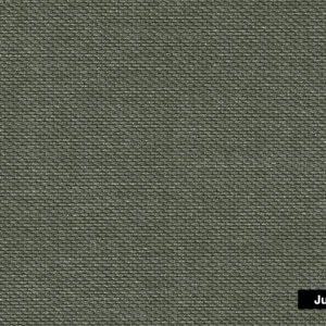 Canvas Jungle