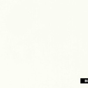 Flor Blanco