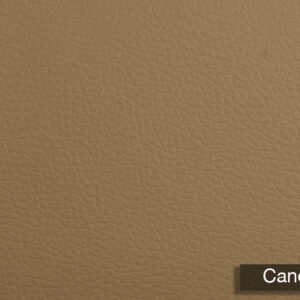 Grain Silico Canela