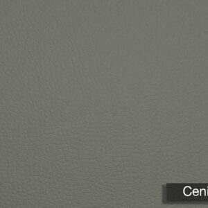 Grain Silico Ceniza