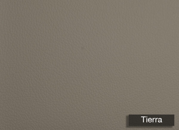 Grain Silico Tierra