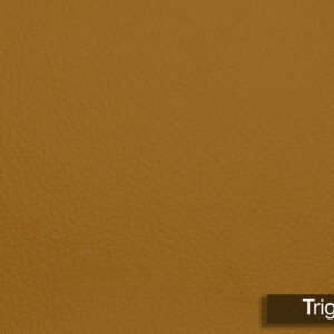 Grain Silico Trigo