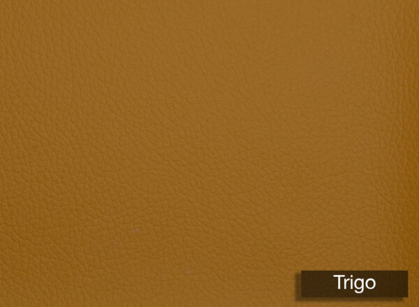 Grain Silico Trigo