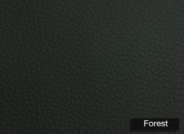 Genus Silico Forest