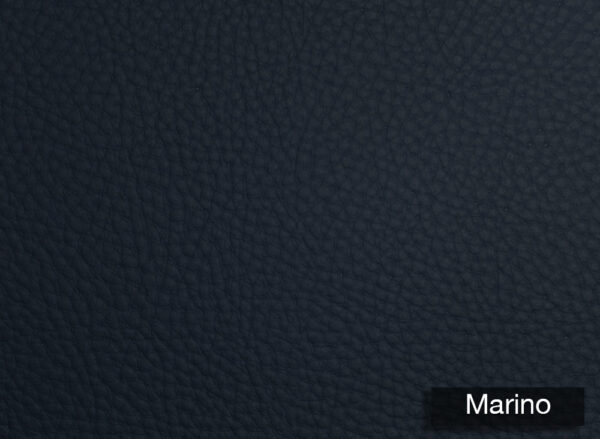 Genus Silico Marino