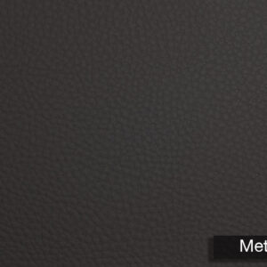 Genus Silico Metal