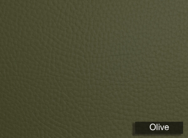 Genus Silico Olive
