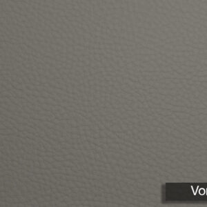 Genus Silico Vori