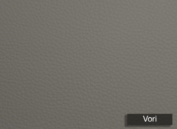 Genus Silico Vori